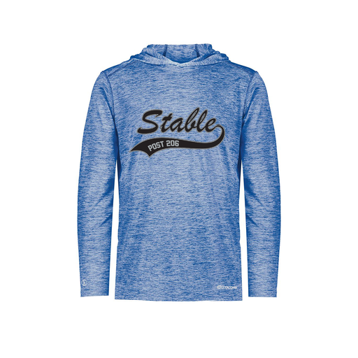 [FOLHCGRY-AS-LOGO1] Decker Men's Charge Hoodie (Adult S, Royal, Logo 1)